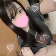 ヒメ日記 2025/03/15 11:40 投稿 シルク 姫路ラビット