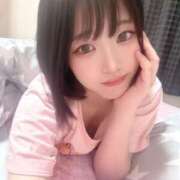 ヒメ日記 2025/04/01 15:50 投稿 シルク 姫路ラビット