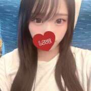 ヒメ日記 2025/06/20 11:39 投稿 シルク 姫路ラビット