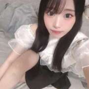 ヒメ日記 2025/07/07 10:10 投稿 シルク 姫路ラビット