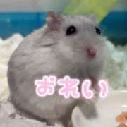 ヒメ日記 2025/02/14 22:46 投稿 えな マリン宇都宮店