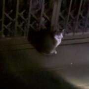 ヒメ日記 2025/02/18 06:26 投稿 えな マリン宇都宮店