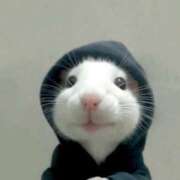 ヒメ日記 2025/05/18 04:16 投稿 えな マリン宇都宮店