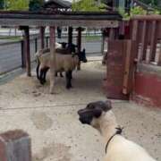 ヒメ日記 2025/06/01 17:56 投稿 えな マリン宇都宮店