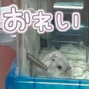 ヒメ日記 2025/06/22 22:26 投稿 えな マリン宇都宮店