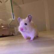 ヒメ日記 2025/08/06 09:46 投稿 えな マリン宇都宮店