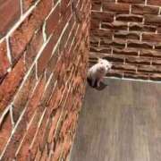 ヒメ日記 2025/09/21 00:06 投稿 えな マリン宇都宮店