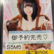 ヒメ日記 2025/10/20 21:34 投稿 えな マリン宇都宮店