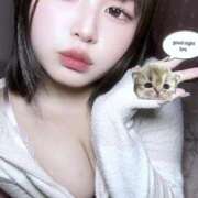 ヒメ日記 2025/10/21 19:50 投稿 えな マリン宇都宮店