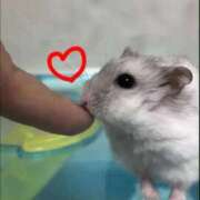 ヒメ日記 2025/12/10 17:46 投稿 えな マリン宇都宮店