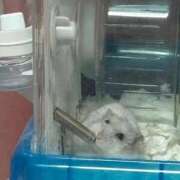 ヒメ日記 2025/12/11 02:16 投稿 えな マリン宇都宮店