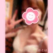 ヒメ日記 2025/02/27 23:58 投稿 おとは ハンドキャンパス新宿