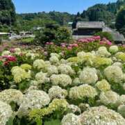 ヒメ日記 2025/06/12 15:27 投稿 おとは ハンドキャンパス新宿