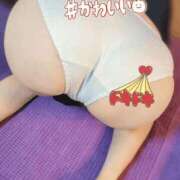 ヒメ日記 2025/03/04 09:01 投稿 ちあき アラビアンナイト