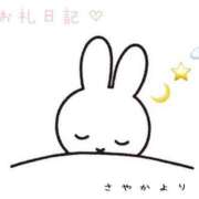 ヒメ日記 2025/06/11 01:17 投稿 星野　さやか Muzerva Wave