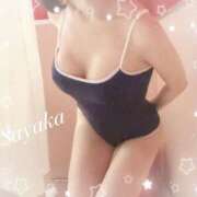 ヒメ日記 2025/06/14 09:47 投稿 星野　さやか Muzerva Wave