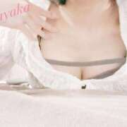 ヒメ日記 2025/07/13 11:47 投稿 星野　さやか Muzerva Wave