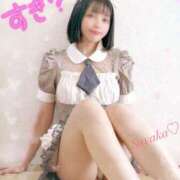 ヒメ日記 2025/08/04 08:27 投稿 星野　さやか Muzerva Wave