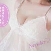 ヒメ日記 2025/08/26 12:47 投稿 星野　さやか Muzerva Wave