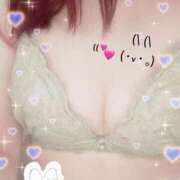 ヒメ日記 2025/04/12 08:45 投稿 ひとか べっぴんコレクション