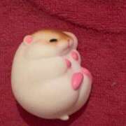 ひとか 次回明後日🌟⋆꙳ べっぴんコレクション