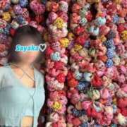 ヒメ日記 2025/10/19 11:27 投稿 星野　さやか 松山回春性感エステオールスターズ