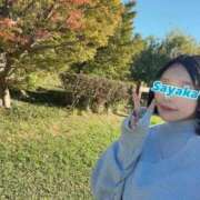 ヒメ日記 2025/10/30 21:09 投稿 星野　さやか 松山回春性感エステオールスターズ