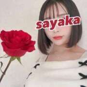 ヒメ日記 2026/02/18 00:57 投稿 星野　さやか 松山回春性感エステオールスターズ