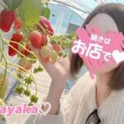 ヒメ日記 2026/03/30 19:27 投稿 星野　さやか 松山回春性感エステオールスターズ