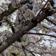 ヒメ日記 2025/04/18 18:43 投稿 かんな MOISTLIP