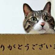 かんな 本指名Sさん MOISTLIP