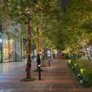 ヒメ日記 2025/10/28 02:04 投稿 なな 人妻倶楽部 内緒の関係 川越店