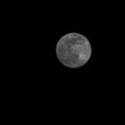 なな 明日は出勤します💕 人妻倶楽部 内緒の関係 川越店