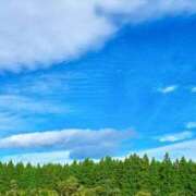 ヒメ日記 2025/07/06 11:30 投稿 蓮美　えま PLATINA R-30（すすきの）