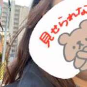 ヒメ日記 2025/12/07 11:13 投稿 ブルーベル 飾窓