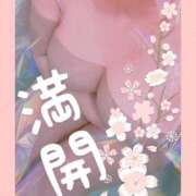 ヒメ日記 2025/04/12 19:29 投稿 みさき 奥様プリモ