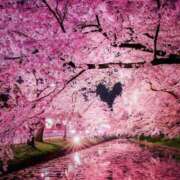 ヒメ日記 2025/04/12 20:09 投稿 みさき 奥様プリモ