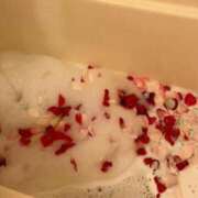 ヒメ日記 2025/06/04 16:29 投稿 みさき 奥様プリモ