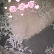 ヒメ日記 2025/07/21 22:09 投稿 みさき 奥様プリモ