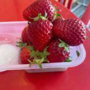 ヒメ日記 2025/03/31 13:19 投稿 ゆきな 成田人妻花壇