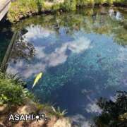 ヒメ日記 2025/06/16 18:01 投稿 あさひ CECIL