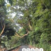 ヒメ日記 2025/06/19 19:58 投稿 あさひ CECIL