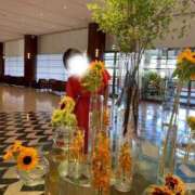 ヒメ日記 2025/07/20 12:02 投稿 あさひ CECIL