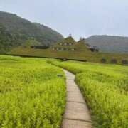 ヒメ日記 2025/07/21 22:32 投稿 あさひ CECIL