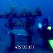 ヒメ日記 2025/07/24 20:04 投稿 あさひ CECIL