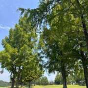 ヒメ日記 2025/07/25 21:04 投稿 あさひ CECIL