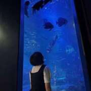 ヒメ日記 2025/07/26 11:01 投稿 あさひ CECIL