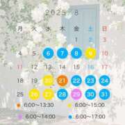 ヒメ日記 2025/08/05 22:22 投稿 あさひ CECIL