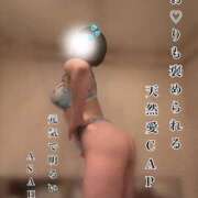 ヒメ日記 2025/08/26 05:10 投稿 あさひ CECIL