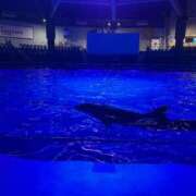 ヒメ日記 2025/08/27 23:55 投稿 あさひ CECIL